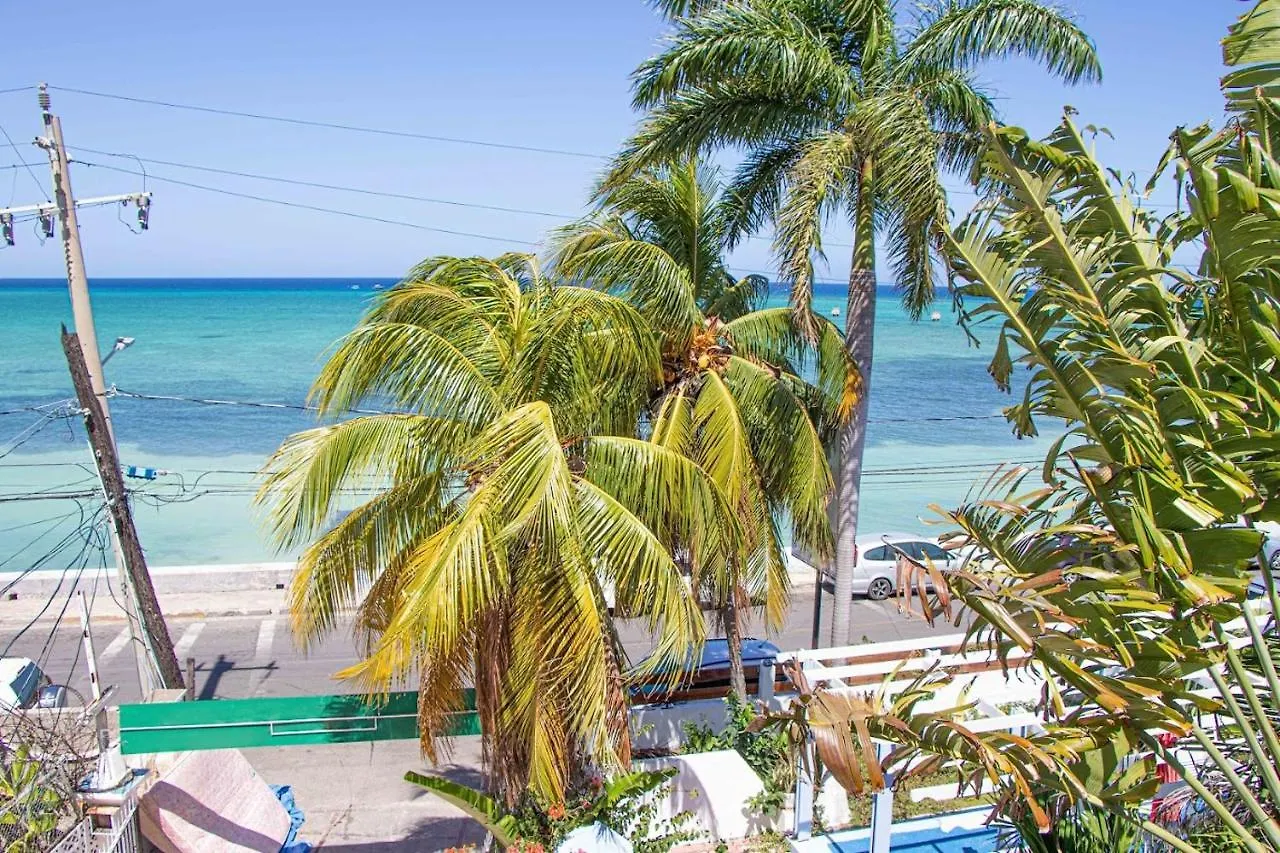 The Buccaneer Montego Bay 0*,  Jamaica